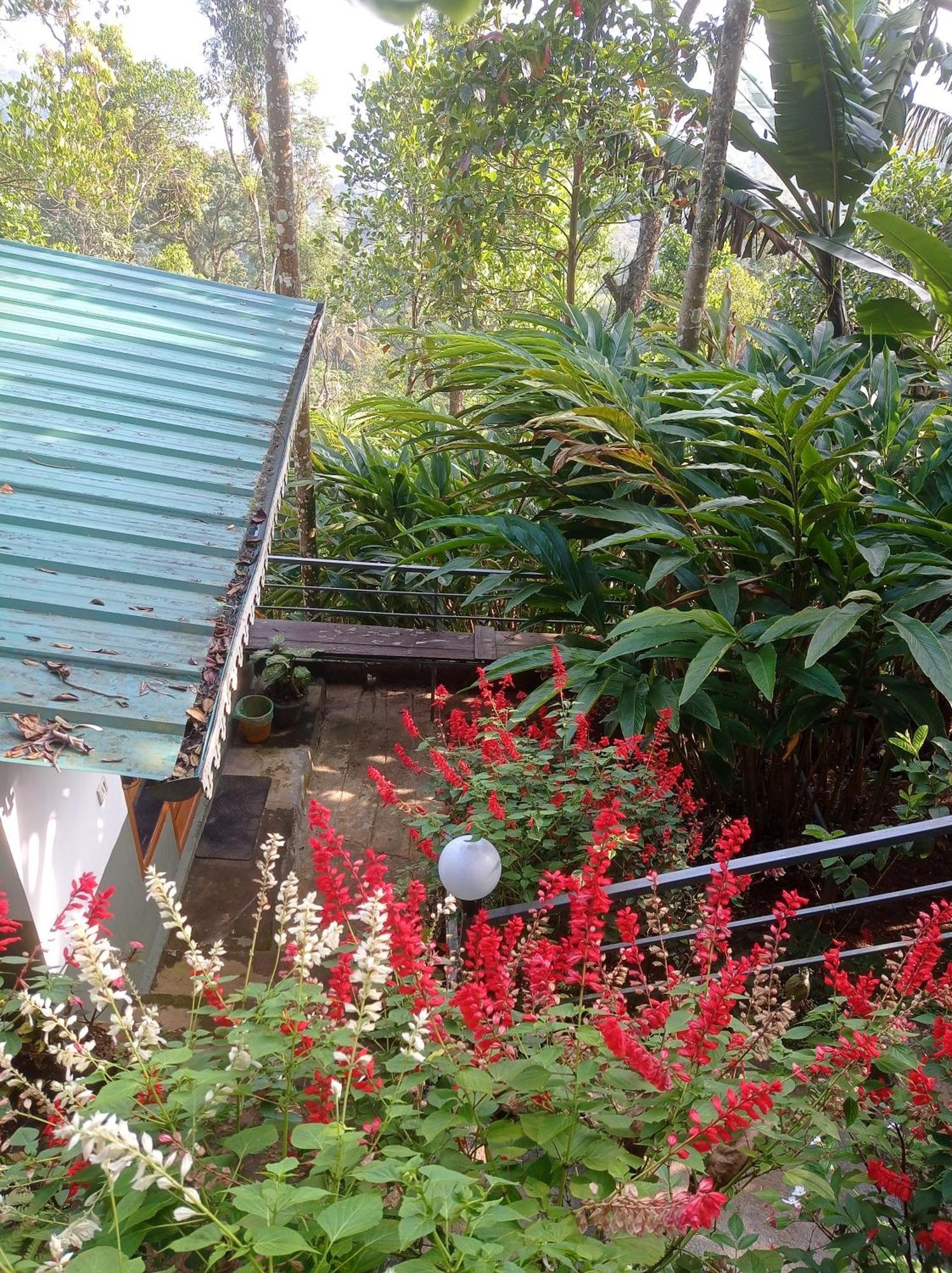 Munnar Home Stay Teadrops Plantation Villa Exterior foto