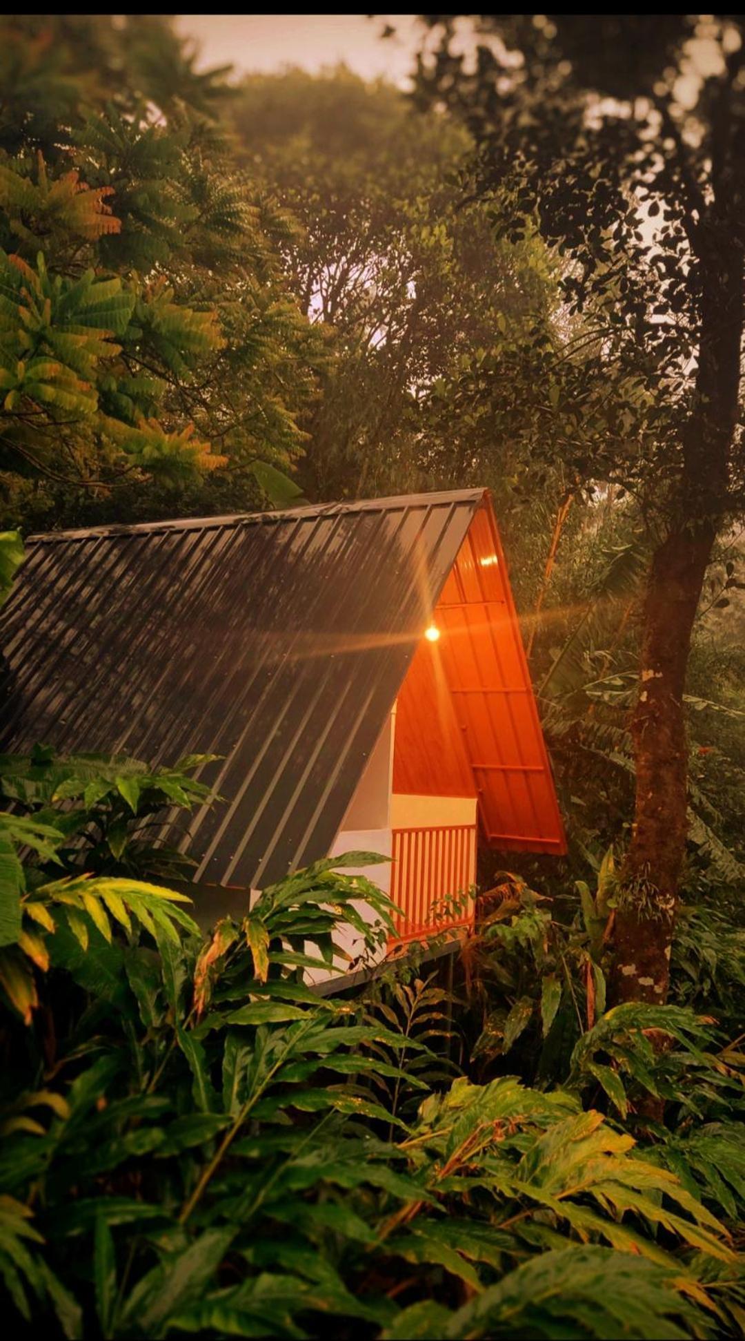 Munnar Home Stay Teadrops Plantation Villa Exterior foto